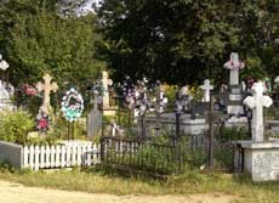 Cimitirul comunei Marginea