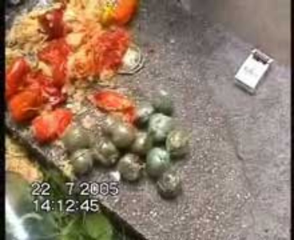 Moldoveanul prins la Suceava cu droguri ascunse în borcane cu murături riscă pînă la 20 de ani de pușcărie