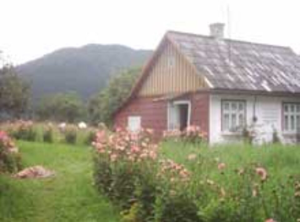 Casa Vasilenei Omania