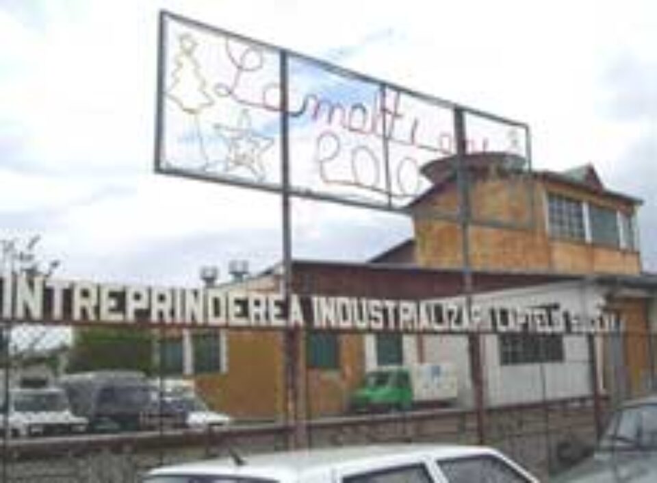 Muncitor decedat pentru că au fost încălcate flagrant normele protecției muncii