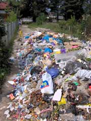 Un munte de gunoaie putrezește în centrul stațiunii Cîmpulung Moldovenesc