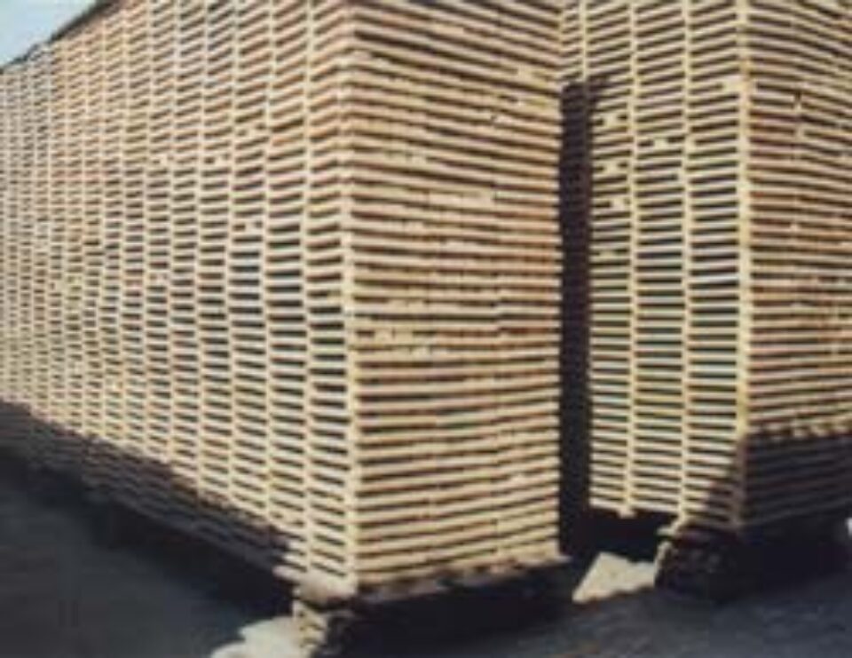 Evaziune fiscală de peste 20 de miliarde de lei vechi la firmele care procesează material lemnos Evaziune fiscală de peste 20 de miliarde de lei vechi la firmele care procesează material lemnos