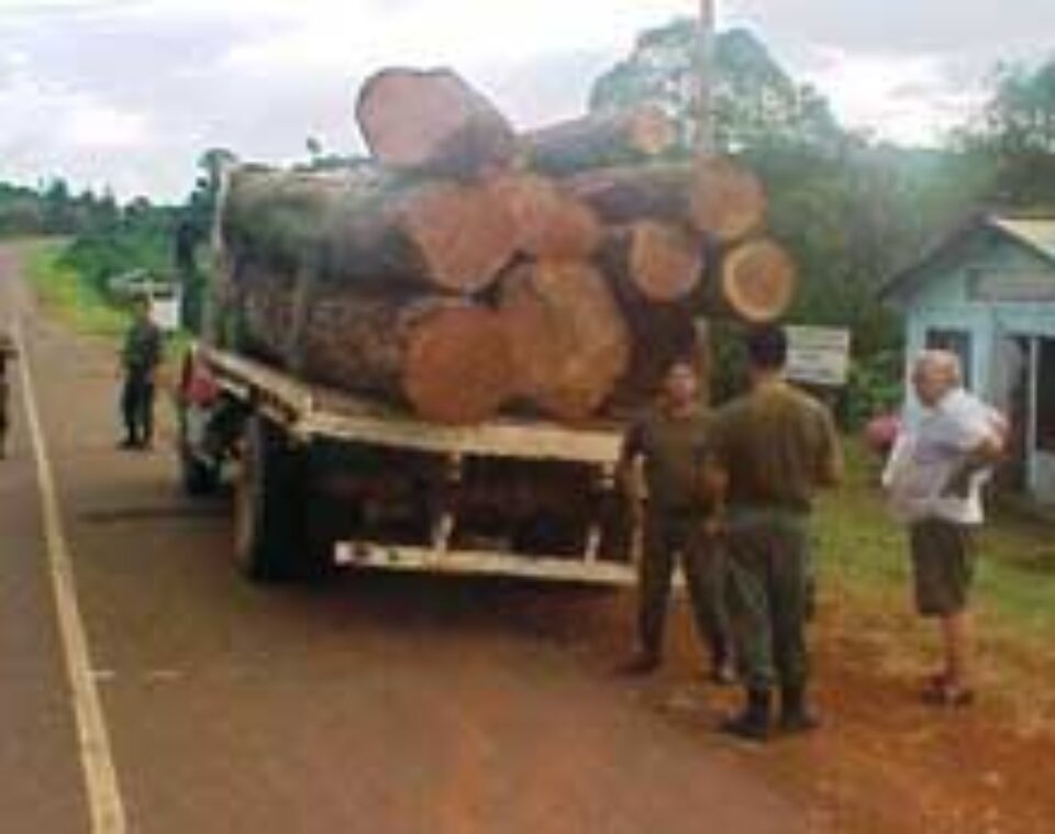 Rute ocolitoare de peste 100 de kilometri pentru mașinile de mare tonaj