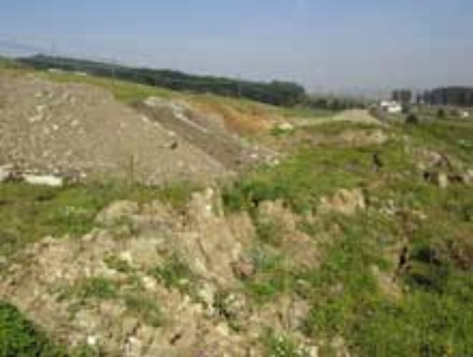 Aproape 30 de case din Șcheia riscă să se surpe din cauza alunecărilor de teren