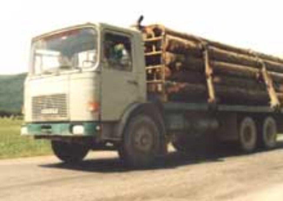 Zeci de polițiști suceveni au picat „testele lui Todiruț”