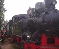 Mocănița de la Moldovița “și-a dat duhul” după numai două luni de funcționare