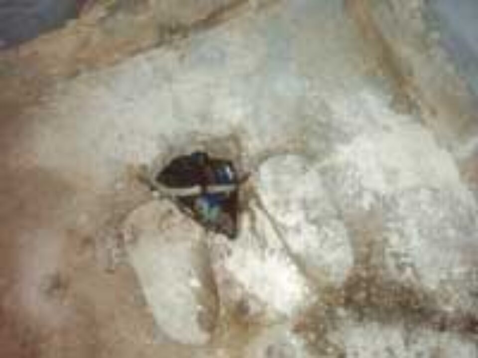 Mii de elevi suceveni din mediul rural vor începe școala în mizerie