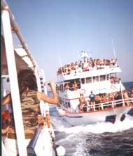 Sute de suceveni au descoperit gustul vacanțelor în Grecia