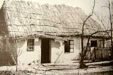 Iubirea din „Satul blestemat”