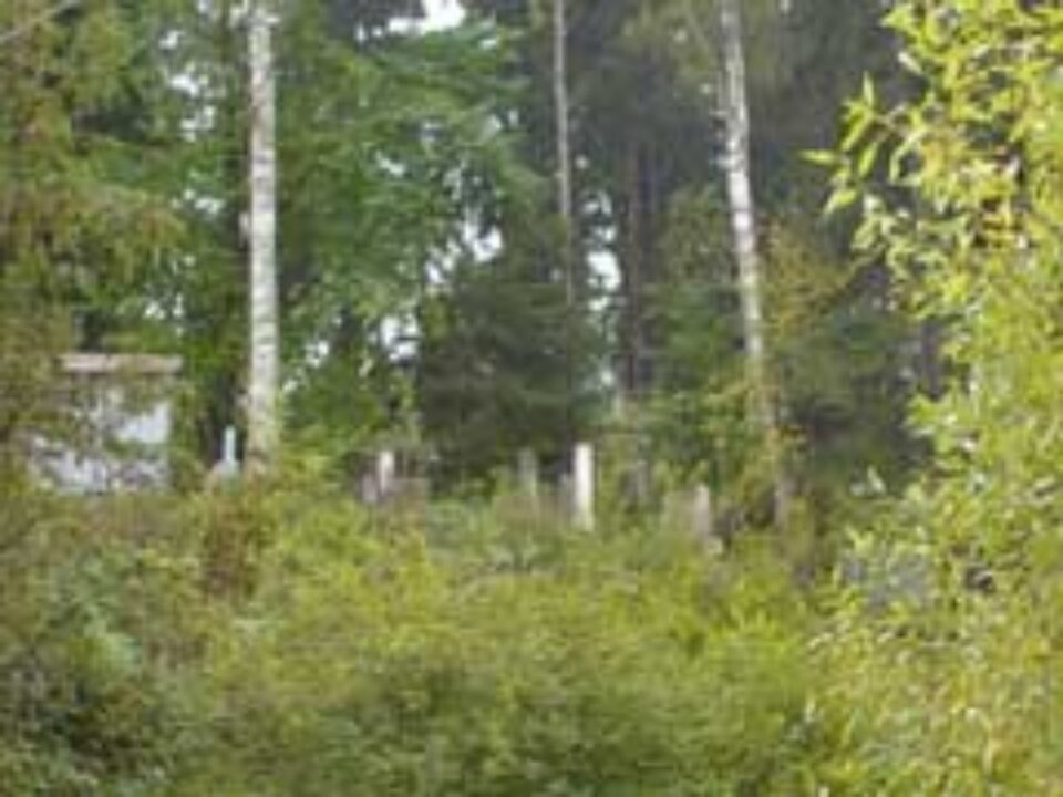 Cimitirul Evreiesc din Vatra Dornei a fost profanat