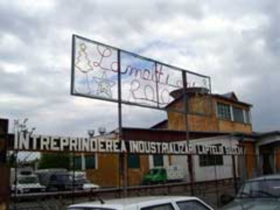 În 9 luni de zile, 12 persoane au murit în accidente la locul de muncă