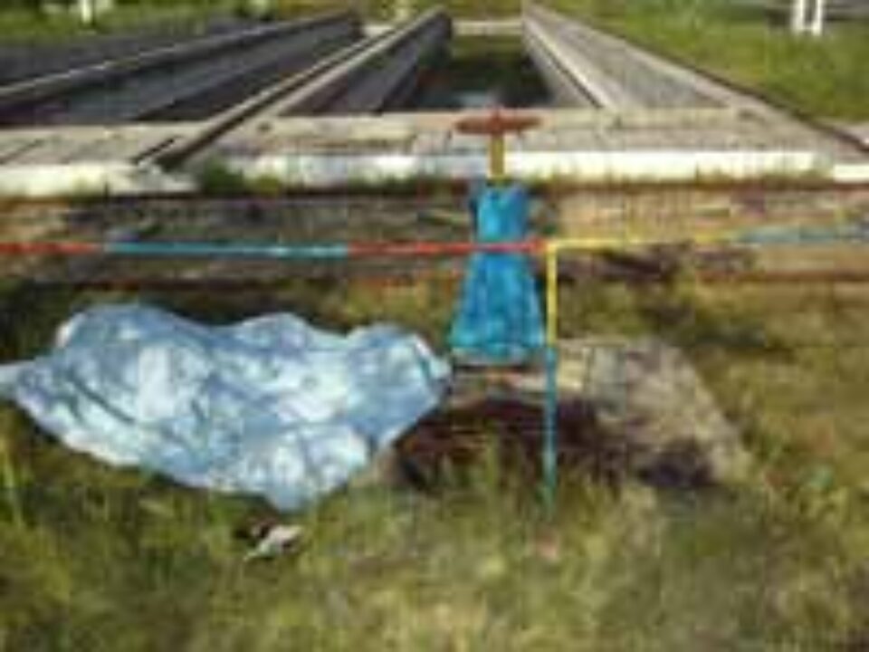 În 9 luni de zile, 12 persoane au murit în accidente la locul de muncă În 9 luni de zile, 12 persoane au murit în accidente la locul de muncă