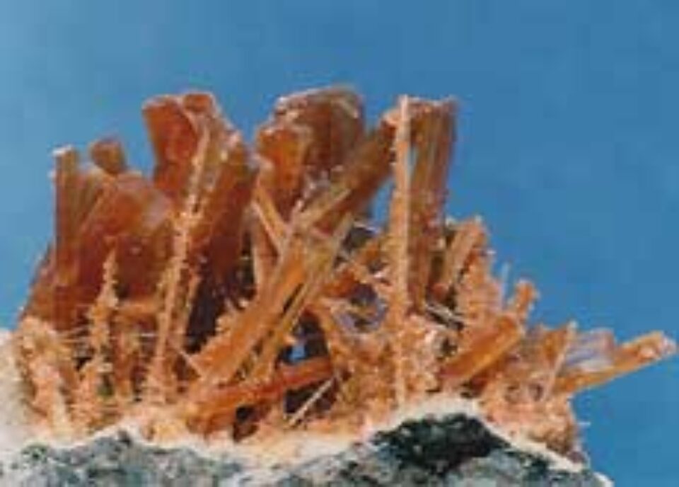 Flori de mină Flori de mină