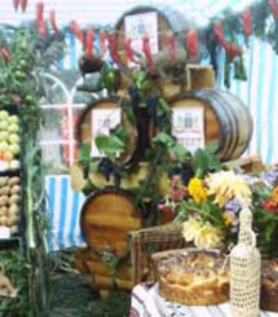 Mii de suceveni au participat la „Zilele Recoltei & Agro Util Montana & Festivalul Vinului”