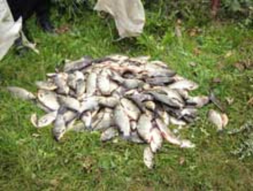 Tată și fiu, prinși la braconat