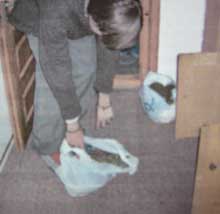 Peste 300 de grame de cannabis găsite într-un apartament din cartierul George Enescu