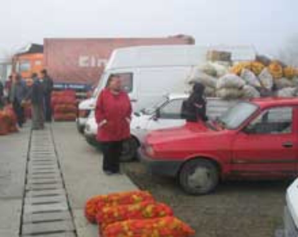 Piața en-gross din Burdujeni și-a deschis de ieri porțile pentru sute de comercianți Piața en-gross din Burdujeni și-a deschis de ieri porțile pentru sute de comercianți