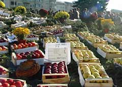 Fălticeniul a fost gazda celei de a treia ediții a Sărbătorii Pomicultorilor