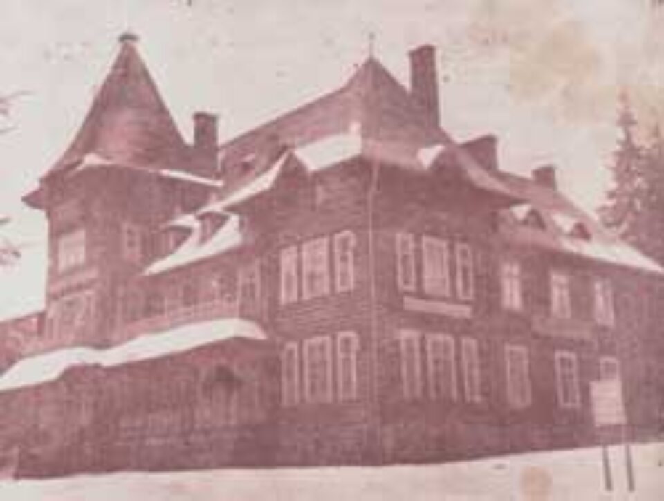 Regele Mihai revendică proprietățile pe care le-a avut în comuna Pojorîta Regele Mihai revendică proprietățile pe care le-a avut în comuna Pojorîta