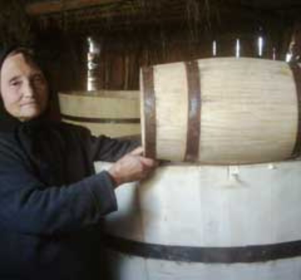 Pet-urile „ucid” meseria de dogar Pet-urile „ucid” meseria de dogar