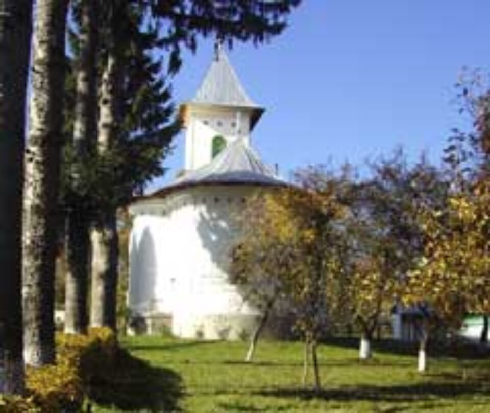 Sute de cruci smulse și înfipte invers în cimitirul din Burdujeni-sat