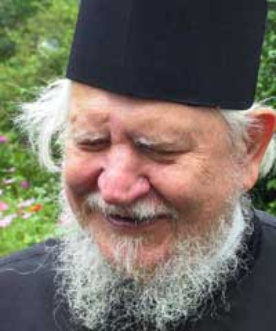 Cum să nu ne revoltăm în fața suferinței?