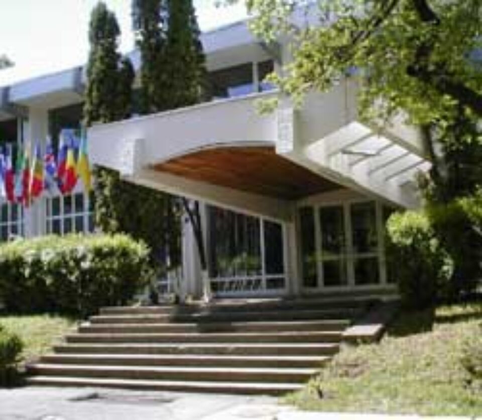 Greva profesorilor universitari suceveni, în coadă de pește