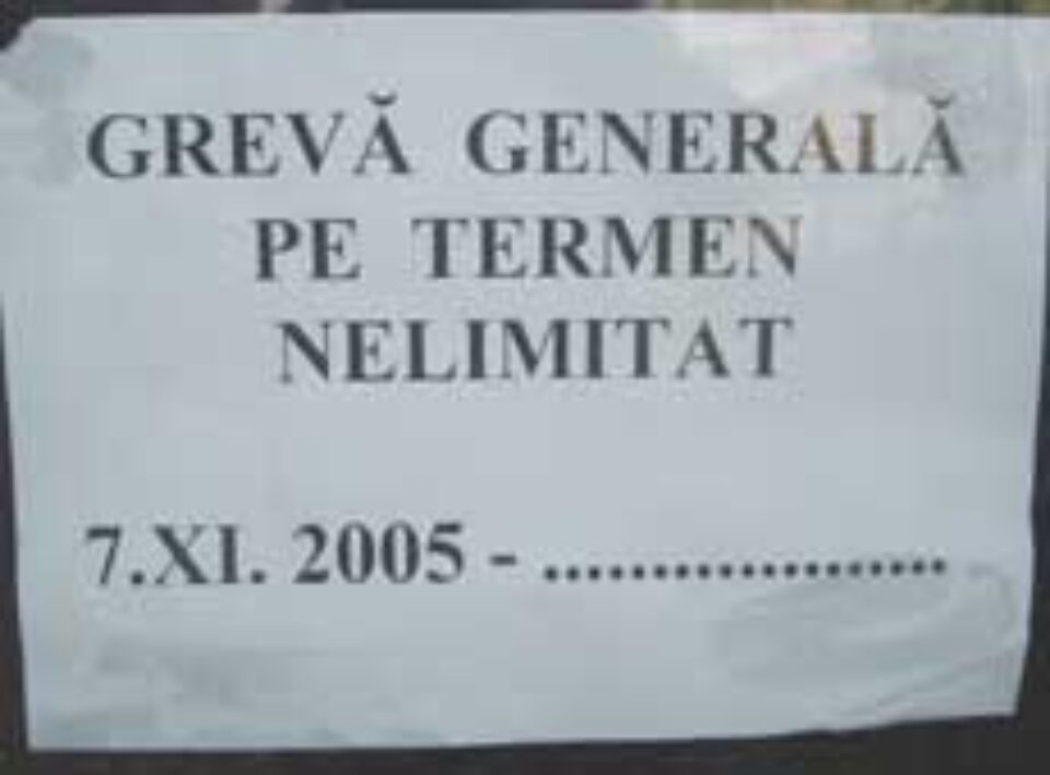 „Lacăte” pe școlile din județ