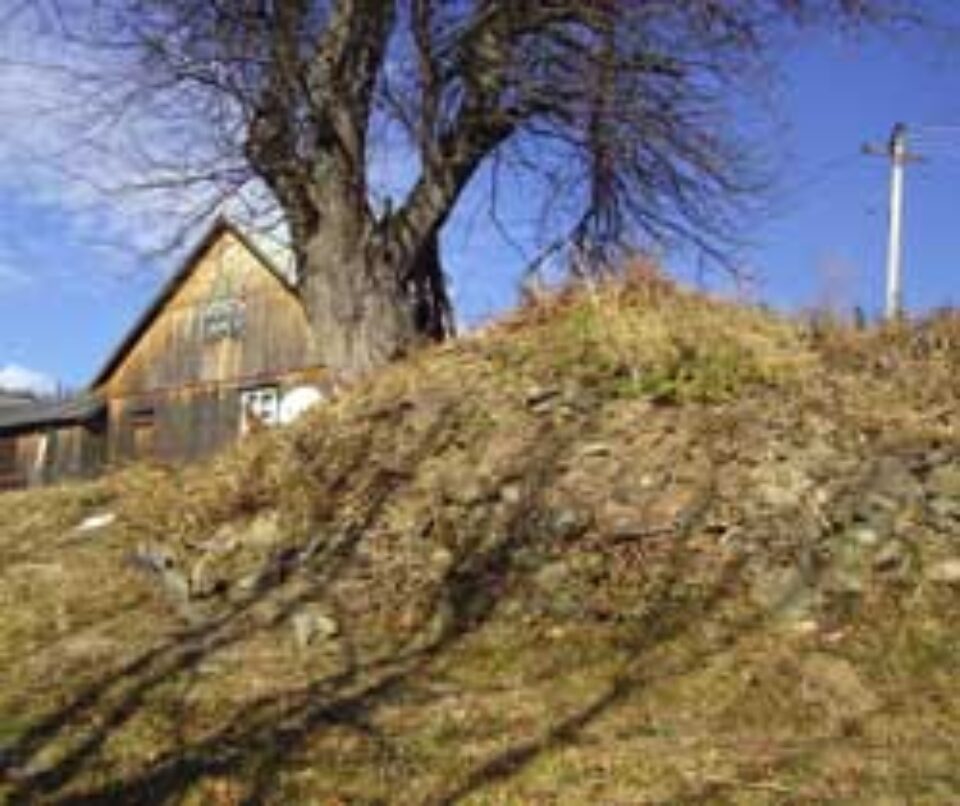 Copacul sub care Tamara Magdău şi-a abandonat nou-născutul