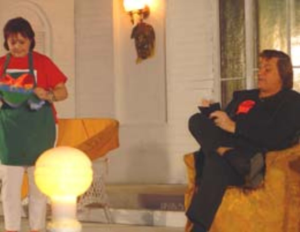 Spectacolul „Logodnicele aterizează la Paris” a revenit cu succes pe scena suceveană