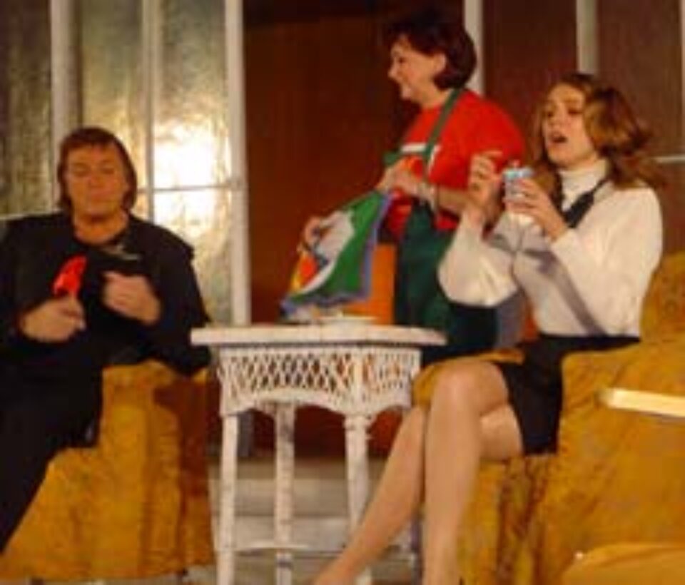 Spectacolul „Logodnicele aterizează la Paris” a revenit cu succes pe scena suceveană