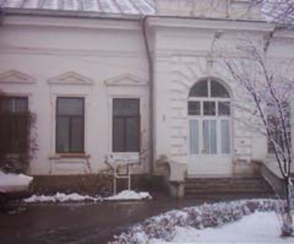 Tînără de 21 de ani în comă la Iași după o cezariană făcută la Maternitatea din Fălticeni Tînără de 21 de ani în comă la Iași după o cezariană făcută la Maternitatea din Fălticeni