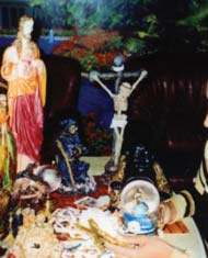 Tămăduitoarele portofelului