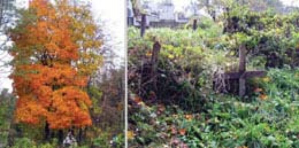 Morții nimănui Morții nimănui