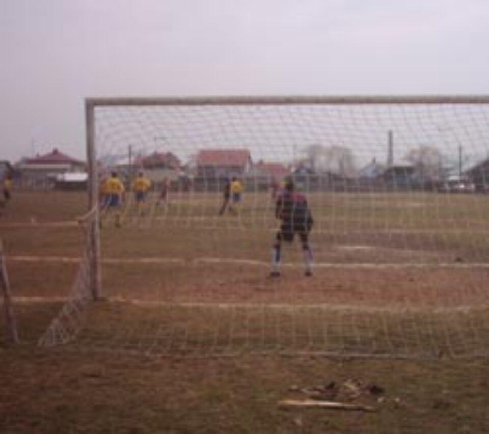 Golgeterii Diviziei D