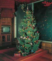 Tradiție și inovație în Pomul de Crăciun