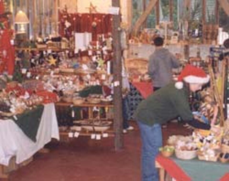 Ajutor, vine Crăciunul! Ajutor, vine Crăciunul!