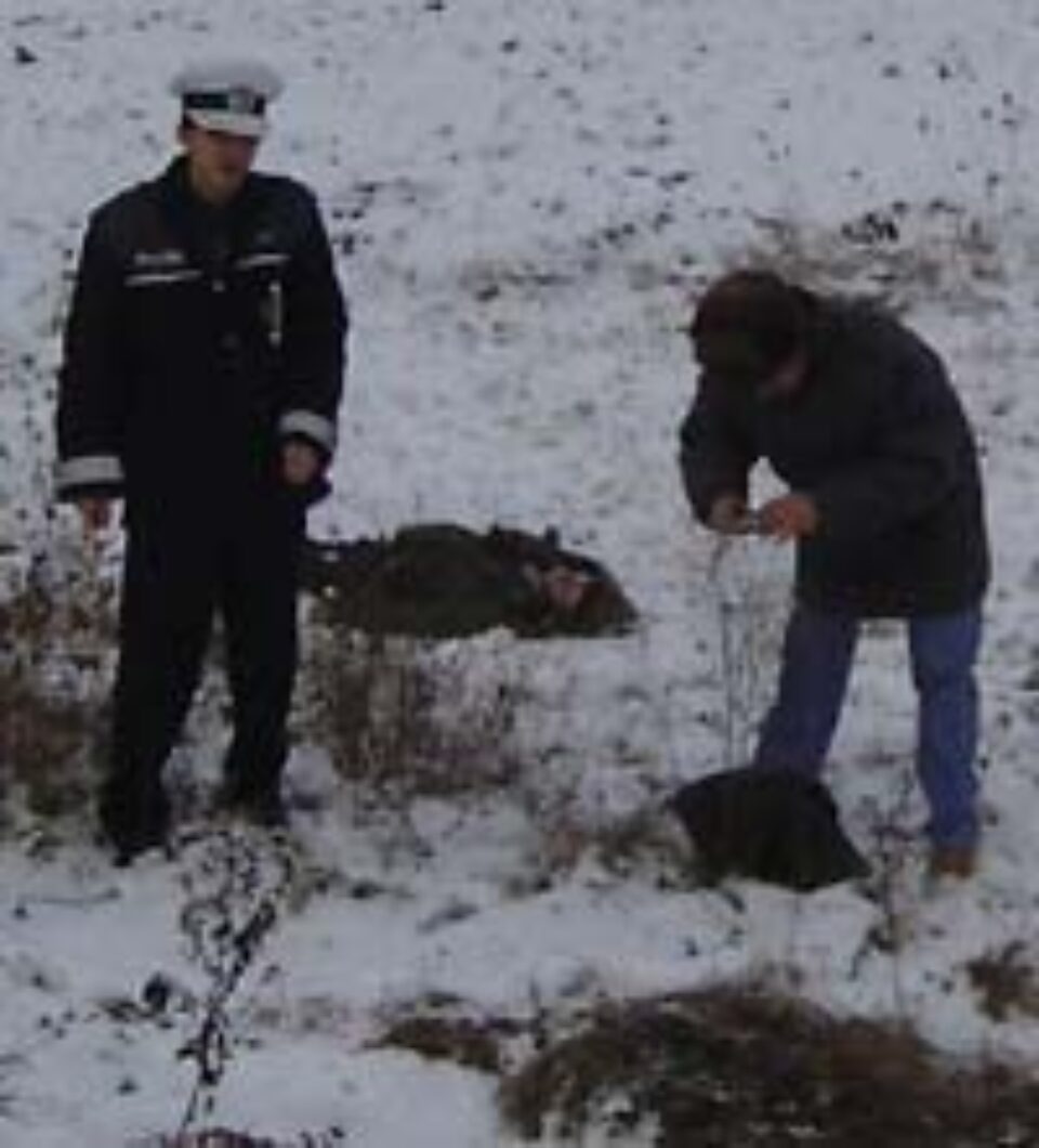 Bătrîn de 81 de ani, omorît de un șofer imprudent