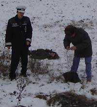 Bătrîn de 81 de ani, omorît de un șofer imprudent