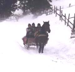 Plimbările cu săniile trase de cai, atracția turiștilor care vin în Bucovina