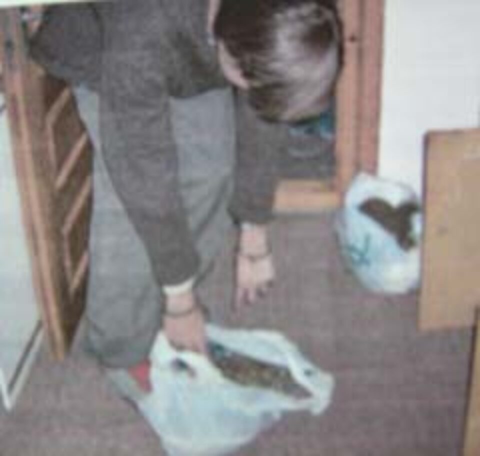 Unul dintre cei patreu tineri le arat anchetatorilor unde tinau o parte din droguri