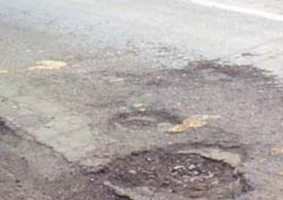 Gropile din oraș, contabilizate de angajații Primăriei Suceava