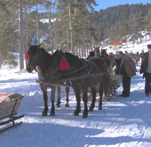 Huțulii au dat o petrecere haiducească de Anul Nou