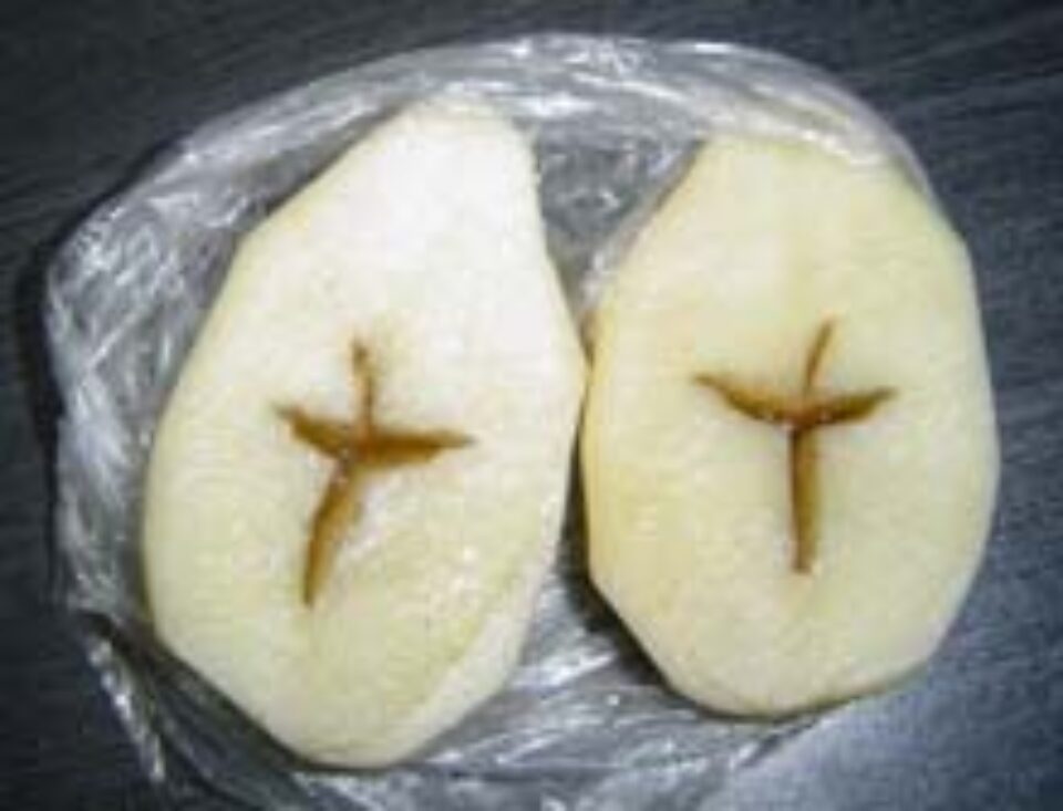 La Frasin s-a descoperit semnul crucii în interiorul unui cartof