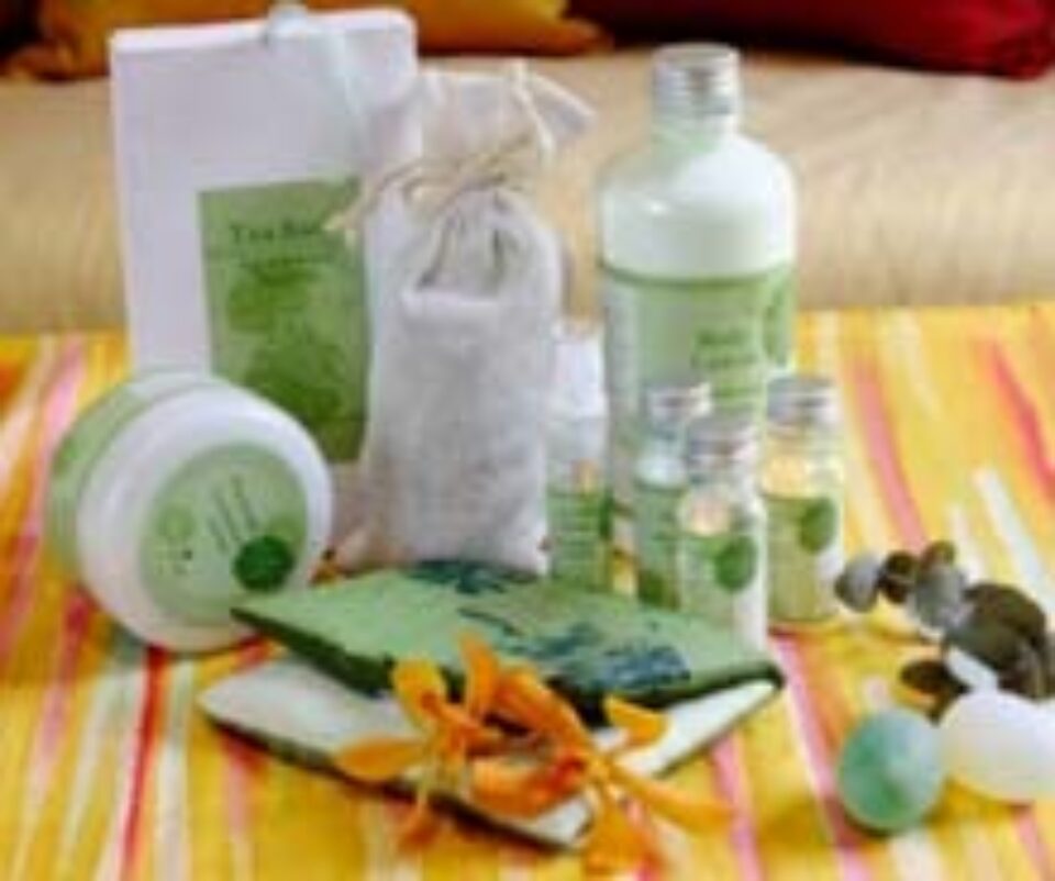 Terapii pentru întreaga familie Terapii pentru întreaga familie