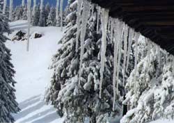 Temperaturi de până la - 30 de grade Celsius în județ