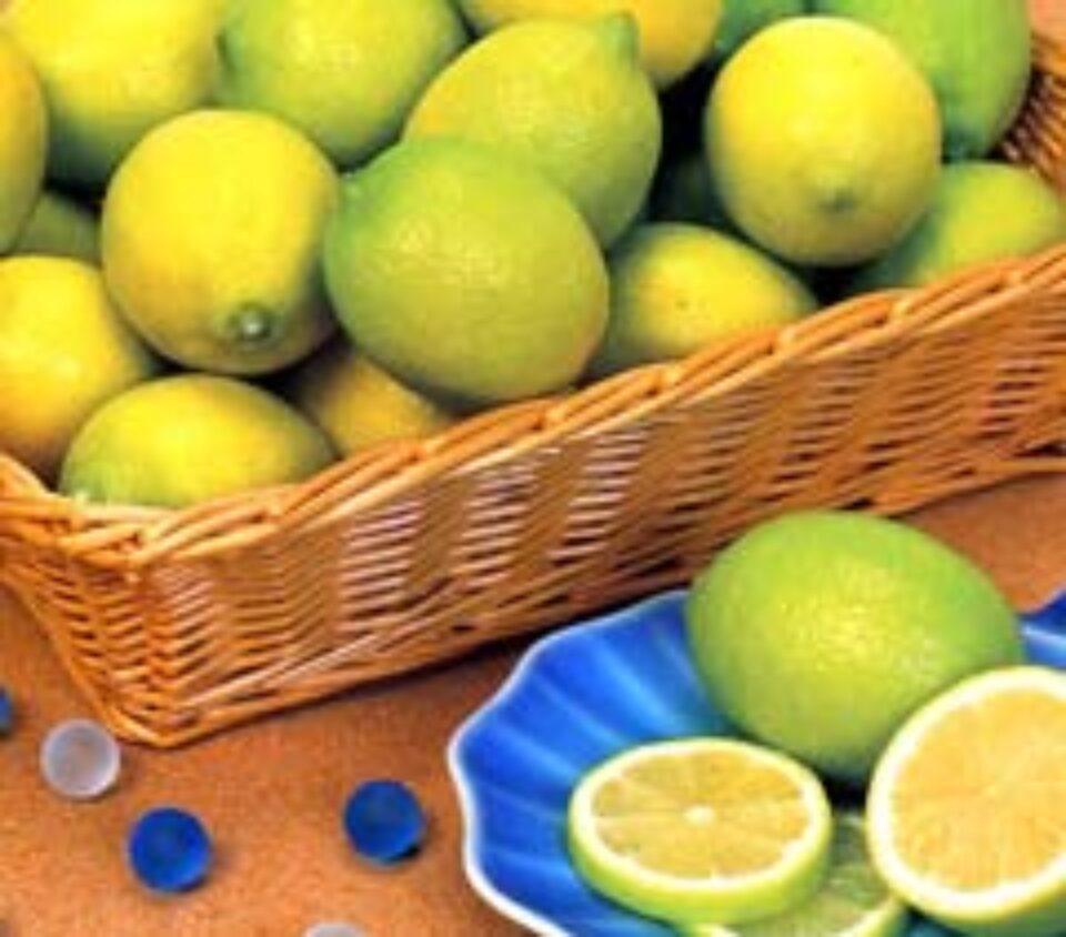 Regimul disociat Regimul disociat