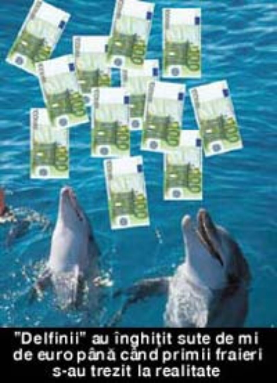 Garda Financiară a descoperit în județul Suceava trei intermediari ai jocului piramidal Delphin Garda Financiară a descoperit în județul Suceava trei intermediari ai jocului piramidal Delphin