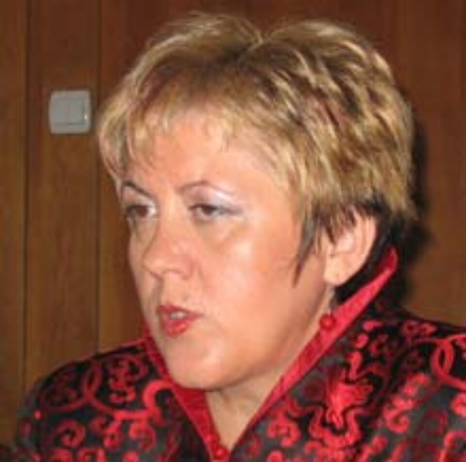 Zarojanu: „Există pericolul ca în urma fuziunii PNL-PD să apară trei partide” Zarojanu: „Există pericolul ca în urma fuziunii PNL-PD să apară trei partide”