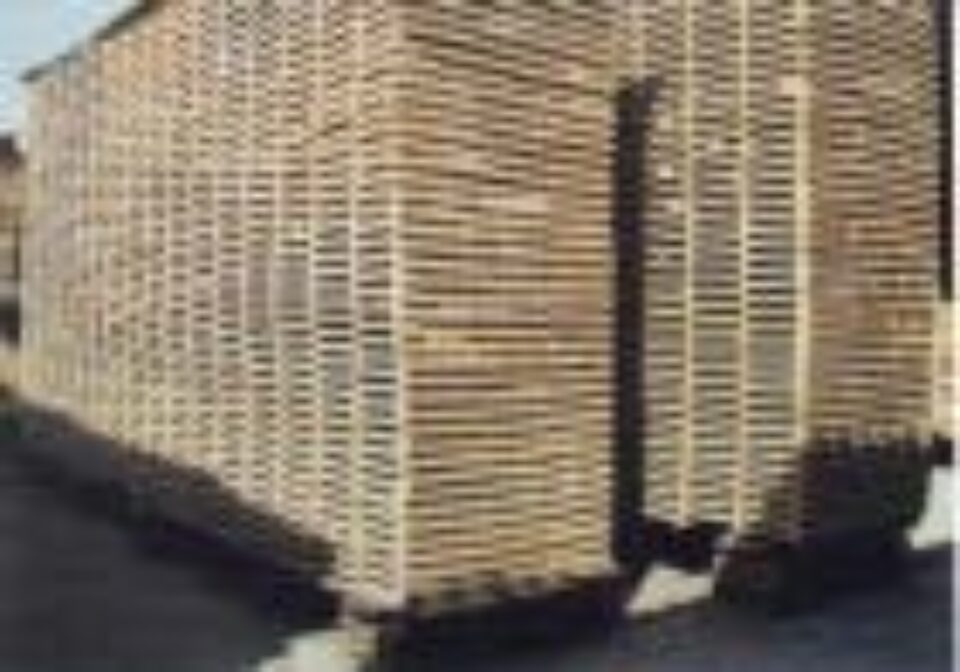 Cinci dosare penale pentru tăieri ilegale de lemn